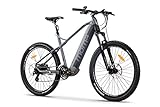 Moma Bikes Unisex - Erwachsene E-MTB 29 Zoll, Elektrische Fahrrad VAE Mountain Bike, E-29,...
