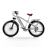 Shengmilo Elektrofahrrad, Retro MX04 Elektrofahrräder für Erwachsene, Fat Tire E-Bike mit 3...