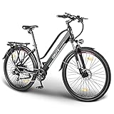 ESKUTE ebike 28 Zoll Pedelec City E-Bike Wayfarer Elektrofahrrad, das Beste Geburtstagsgeschenk...