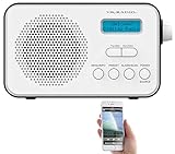 VR-Radio DAB Radio mobil: Mobiles Akku-Digitalradio mit DAB+ & FM, Wecker, Bluetooth 5, 8 Watt (DAB+...